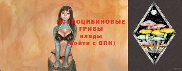 тгк Алзамай