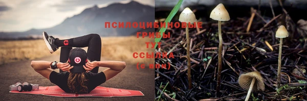 стафф Алексеевка