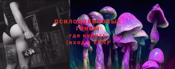 тгк Алзамай
