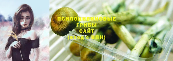 дмт Алексин