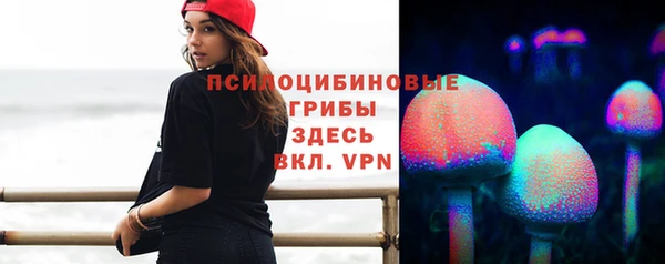 тгк Алзамай